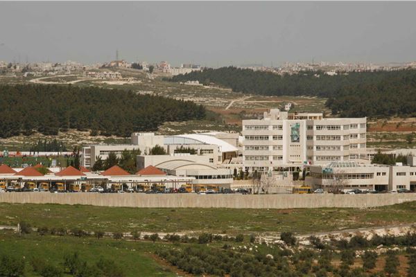 Media Gallery - The International School of Choueifat — Amman