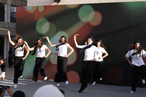 Gallery photo 16